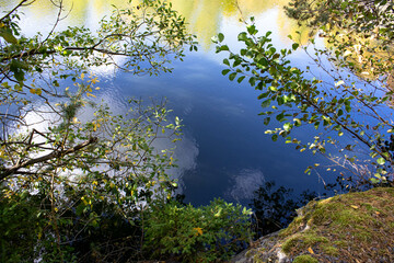 Tree branches above the surface of the water form a living picture. All colors are perfectly...