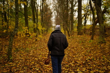 Jesień , Autumn Poland 