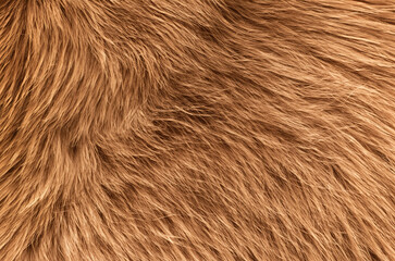 texture of fur, brown texture, brown background - Powered by Adobe