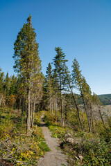 Fototapeta na wymiar Sentier de randonnée au Cap de Roche, Province du Québec