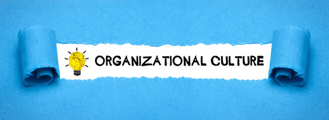 organizational culture	