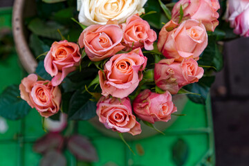 Close-up of pink and white roses at food market at Swiss City of Zürich district Oerlikon on a cloudy autumn day. Photo taken November 18th, 2023, Zurich, Switzerland.