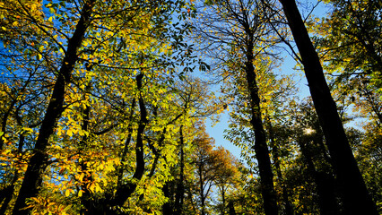 Autunno sull'Appennino Emiliano. Panorami autunnali delle montagne bolognaesi. Bologna, Emilia Romagna. Italia