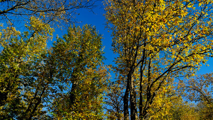 
Autunno sull'Appennino Emiliano. Panorami autunnali delle montagne bolognaesi. Bologna, Emilia Romagna. Italia