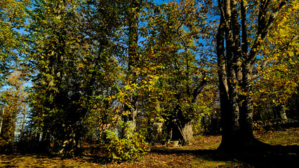 Obraz premium Autunno sull'Appennino Emiliano. Panorami autunnali delle montagne bolognaesi. Bologna, Emilia Romagna. Italia
