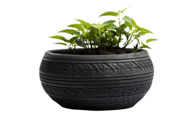 Planter Tire Pot on White or PNG Transparent Background.