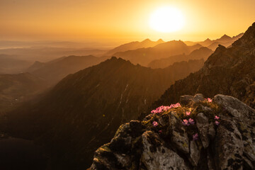 Sunset over the rocky peaks in the High Tatras - obrazy, fototapety, plakaty