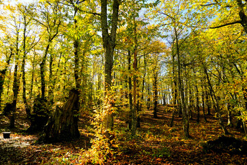 
Autunno sull'Appennino Emiliano. Panorami autunnali delle montagne bolognaesi. Bologna, Emilia Romagna. Italia