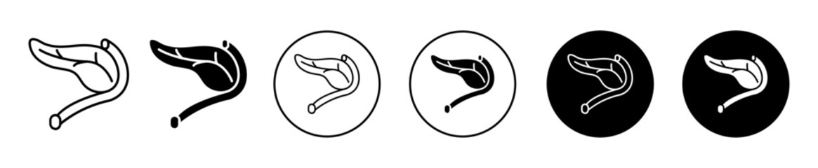 pancreas vector icon illustration set