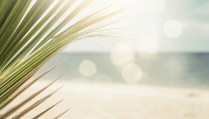 Blur beautiful nature green palm leaf on a tropical beach with bokeh sun light abstract texture background. - obrazy, fototapety, plakaty