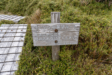Trail from Nagatadake to Shikanosawa Hut on Yakushima Island