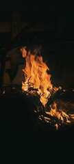 Un fuego en una noche de reflexiones