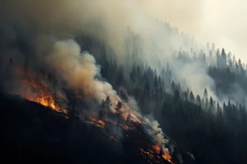 Fotobehang Forest burning on the mountainside, natural disaster, climate change, global warming, arial view © happy_finch