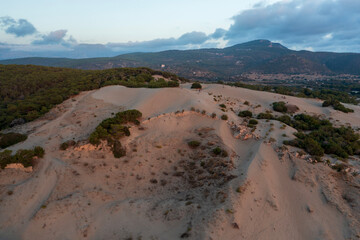 Top view of a sandy beach with a beautiful pattern of dunes, grass and shrubs formed from the water, in the bright sunset light of summer. Photograph with drone in the form of texture and background