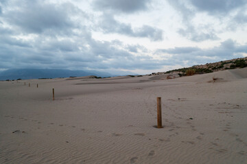 Top view of a sandy beach with a beautiful pattern of dunes, grass and shrubs formed from the water, in the bright sunset light of summer. Photograph with drone in the form of texture and background