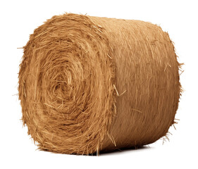 Cylinder Round Hay Bale Isolated on Transparent Background
 - Powered by Adobe