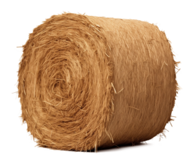 Cylinder Round Hay Bale Isolated on Transparent Background
