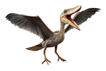 Obraz premium Pterodactyl Concept Isolated on Transparent Background 
