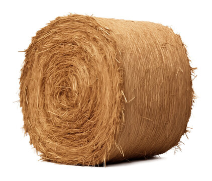 Cylinder Round Hay Bale Isolated on Transparent Background
