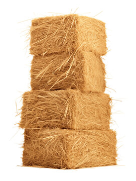 recommend clip art: Stack of Rectangle or Square Hay Bale Isolated on Transparent Background
                    