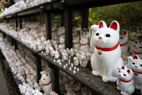 Gotokuji temple, beckoning cat, Japan