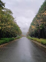 비 오는 어느 가을 날 산책길