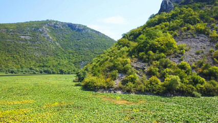 Aerial view over Rijeka Crnojevica from the Pavlova Strana viewpoint, Lake Skadar, Montenegro, Clean river and huge mountains, Water is covered by waterlily. Great location for holiday.