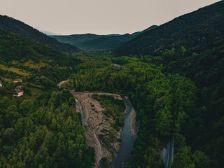 Tree Tunnel, Bartın Safranbolu Road.