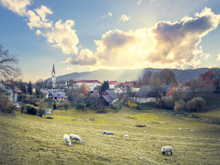 Radovljica