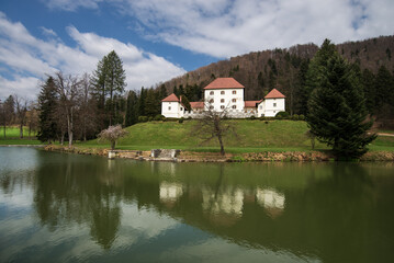 Obraz premium castle and the lake