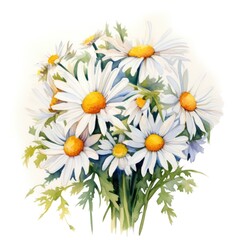Fototapeta premium Bouquet of watercolor daisy flowers. Many chamomiles with leaves