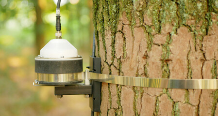 Dendrometer fire forest scientific risk measurement early warning systems, monitoring forecast...