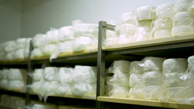 goat cheese was packed through a vacuum packaging machine. farm cheese factory. healthy writing. cheeses are vacuum packed