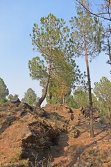 hill station of Lansdowne, Uttarakhand, India