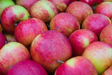 Close-up of red ripe apples. red ripe apples as background