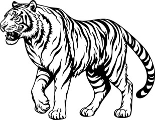 Malayan Tiger Vintage Illustration