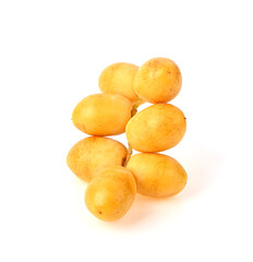 date palm on white background.
