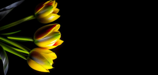 a bouquet of tulips on a black background. preparation for the holidays birthday, spring day. artificial intelligence generator, AI, neural network image. background for the design.