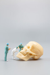 Miniature people Doctor with a giant human skull on a grey background, Science and Medical Concept