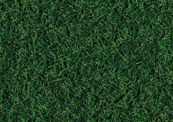 Grass texture garden template Green backyard  wallpaper Vector 