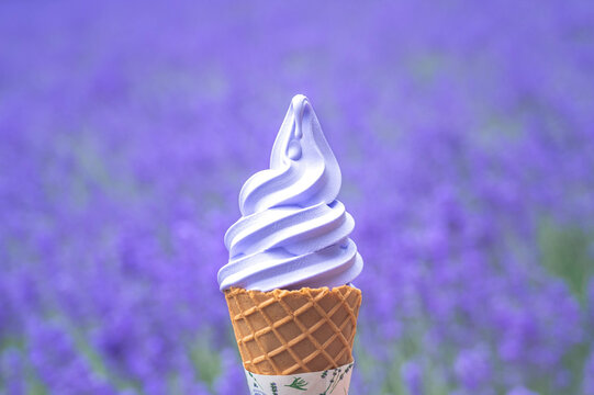 ラベンダーソフトクリーム（北海道富良野市・ファーム富田）