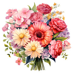 Carnations, Peonies, Gerbera Daisies, Hydrangeas, Flowers, Watercolor illustrations