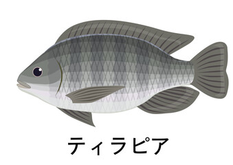 ティラピアのイラスト