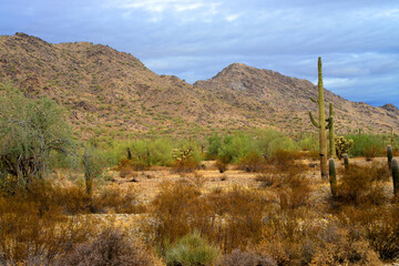 San Tan Mountains Sonora Desert Arizona