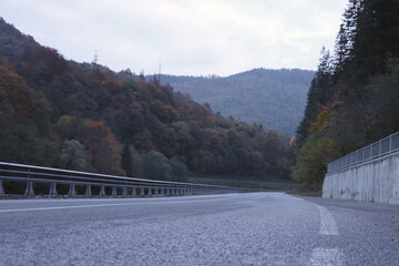 Road in autumn forest at sunset in Carpathian mountains, Ukraine. Beautiful mountain roadway with...