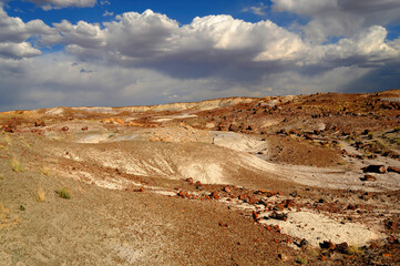 Rugged and Desolate Landscape Petrified Forest Arizona
