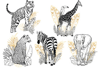 a set of illustrations of linear animals