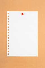 Blank white torn paper note with push pin on brown board.