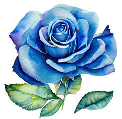 Niebieska róża ilustracja - obrazy, fototapety, plakaty