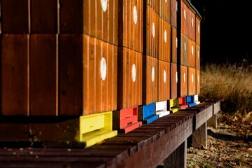 Group of bee hives